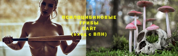 прущие крисы Белоозёрский
