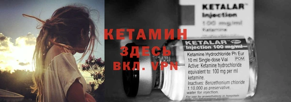 прущие грибы Беломорск