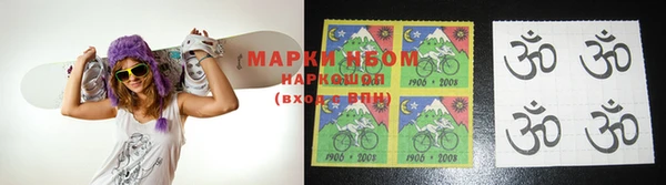 прущие грибы Беломорск