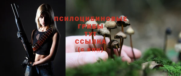 прущие грибы Беломорск