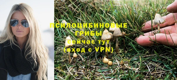 прущие грибы Беломорск