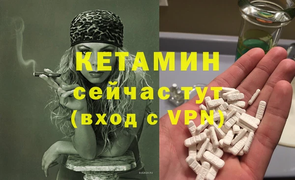 прущие грибы Беломорск