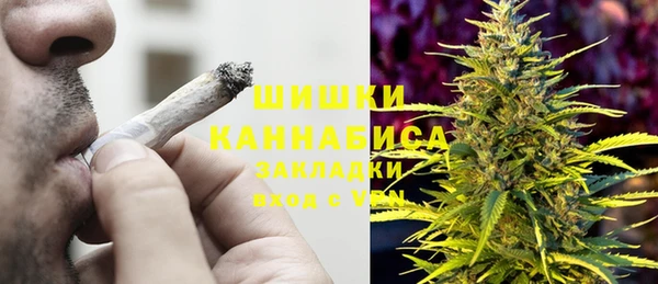 прущие грибы Беломорск
