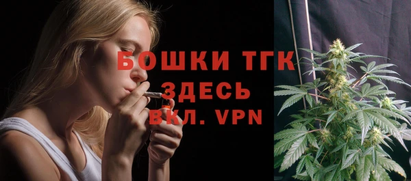 прущие грибы Беломорск