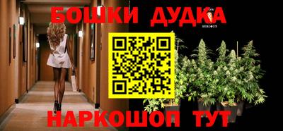 mdma Гатчина