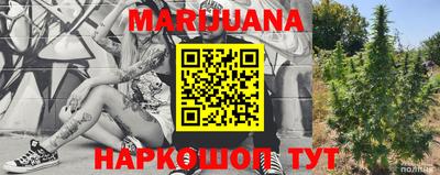 mdma Гатчина