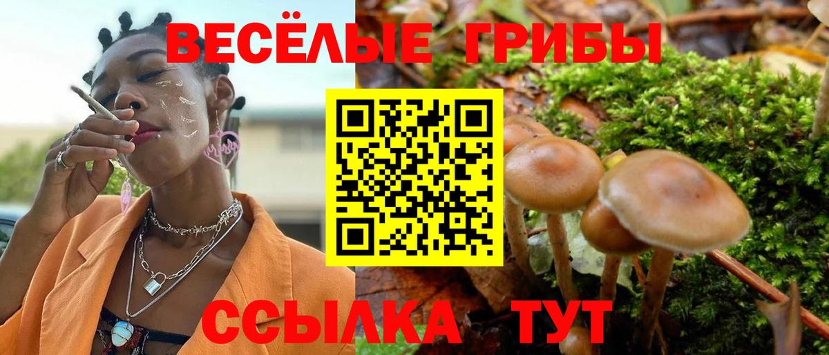 Галлюциногенные грибы ЛСД Горно-Алтайск