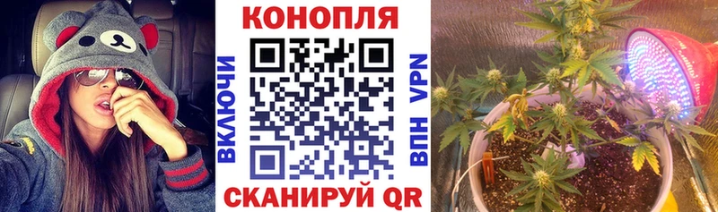 Марихуана THC 21%  сколько стоит  Горно-Алтайск 